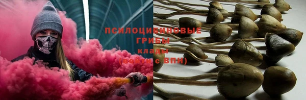 PSILOCYBIN Пестово