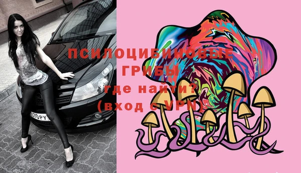 PSILOCYBIN Пестово