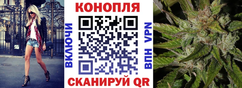 Бошки Шишки Amnesia  Купить где  Смоленск 